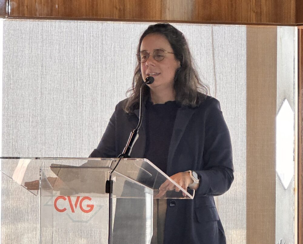 Julia Normande Lins, diretora da Susep
