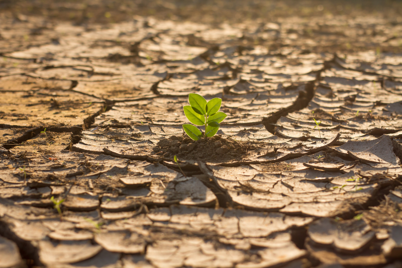Zurich lança solução digital inédita no Brasil para mapear e prever riscos climáticos