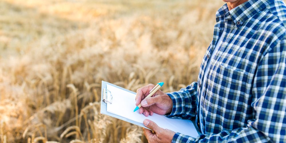 ESSOR reforça importância do seguro Penhor Rural diante do Novo Plano Safra 2025/2026