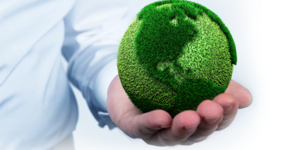 Allianz divulga Relatório de Sustentabilidade 2014