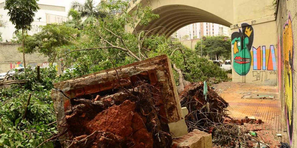 Chuva em São Paulo seguros cobrem danos causados por queda de árvore