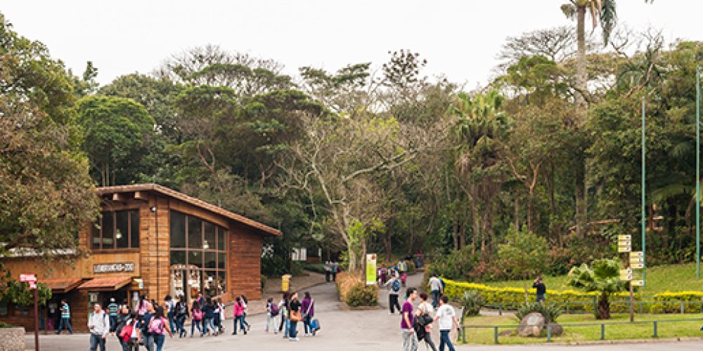 Fundación Mapfre no Zoológico de São Paulo