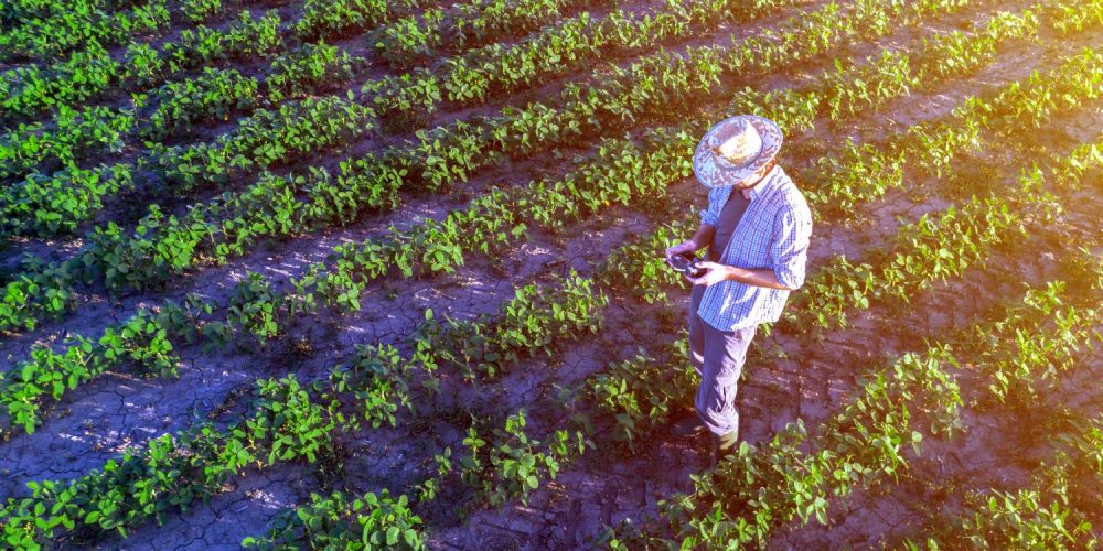 Seguro paramétrico avança no Brasil e amplia alternativas ao multirriscos