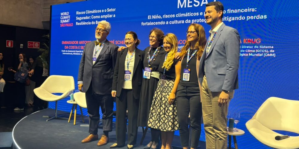Da esquerda para direita: Embaixador da Costa e Silva do Ministério das cidades; Fátima Lima, da Mapfre; Thelma Krug, do GCOS; Patricia Chacon, da Porto; Viviane Torinelli, do Banco Central do Brasil; e André Schelini, do SEBRAE.