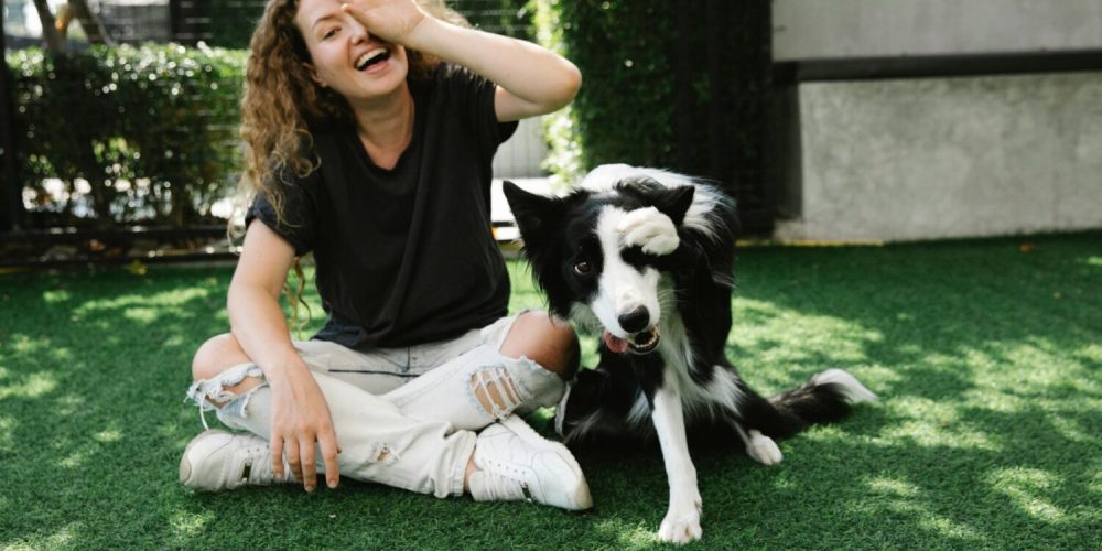 pexels-blue-bird-7210692