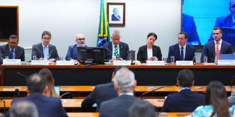 Audiência pública demonstra que setor de seguros tem papel importante na resiliência no País