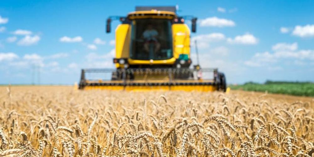 FenSeg participa da 2ª edição do Agro Horizonte, em Brasília FenSeg participa da 2ª edição do Agro Horizonte, em Brasília