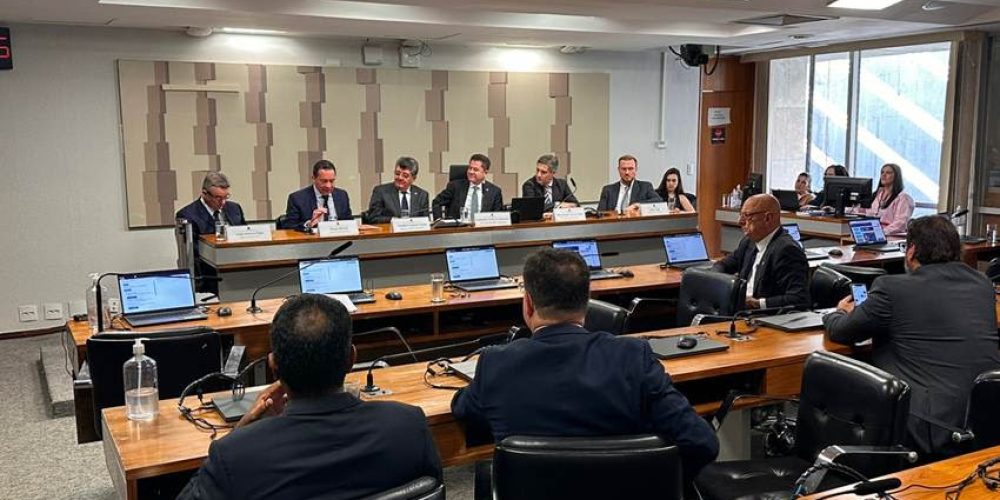 Audiência pública da MP 1309/205, no Senado Federal - Foto: Divulgação/CNseg
